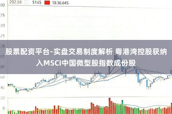股票配资平台-实盘交易制度解析 粤港湾控股获纳入MSCI中国微型股指数成份股